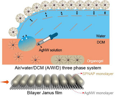 adfm70255-gra-0001-m.jpg